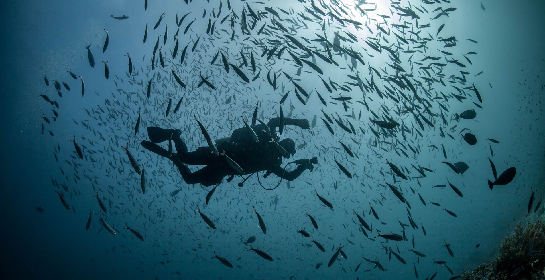 Taucher erkundet das Korallenriff